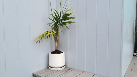 white wall panel design